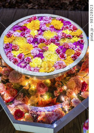 あしかがフラワーパークのイルミネーション　光の花の庭　光の花手水　栃木県足利市 98528923