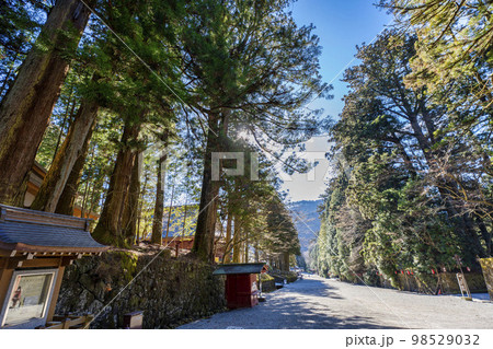 冬晴れの日光東照宮 参道と杉並木 栃木県日光市 冬晴れの日光東照宮 参道と杉並木 栃木県日光市 98529032