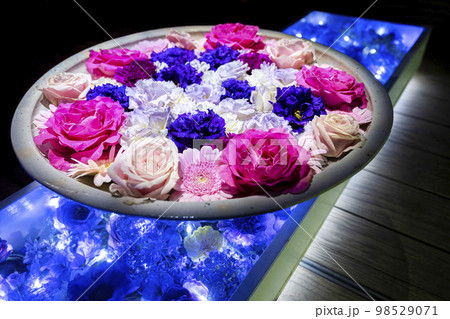 あしかがフラワーパークのイルミネーション　光の花の庭　光の花手水　栃木県足利市 98529071