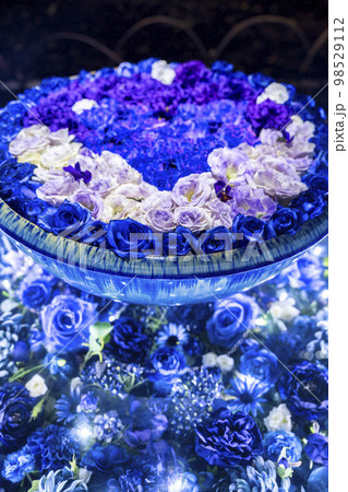 あしかがフラワーパークのイルミネーション 光の花の庭 光の花手水 栃木県足利市 あしかがフラワーパークのイルミネーション 光の花の庭 光の花手水 栃木県足利市 98529112