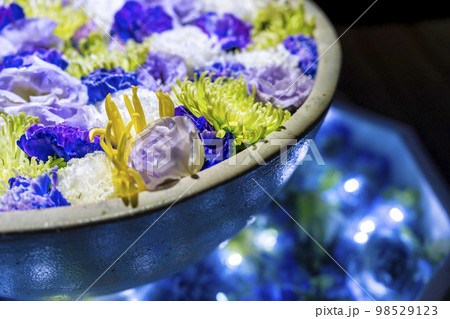 あしかがフラワーパークのイルミネーション　光の花の庭　光の花手水　栃木県足利市 98529123