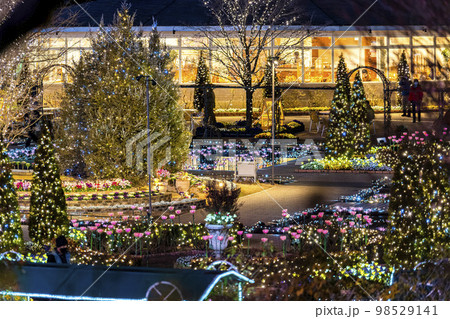 あしかがフラワーパークのイルミネーション　光の花の庭　栃木県足利市 98529141