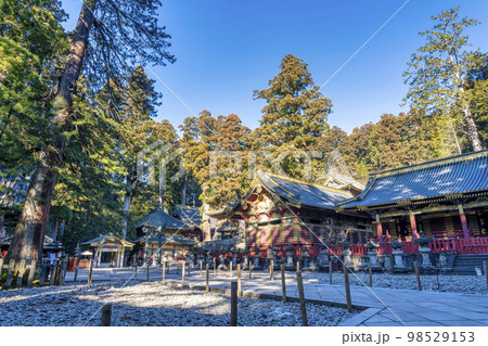 冬晴れの日光東照宮　参道と鳥居　栃木県日光市 98529153