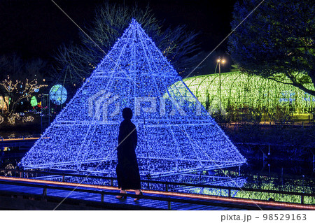 あしかがフラワーパークのイルミネーション　光の花の庭　女性のシルエット　栃木県足利市 98529163