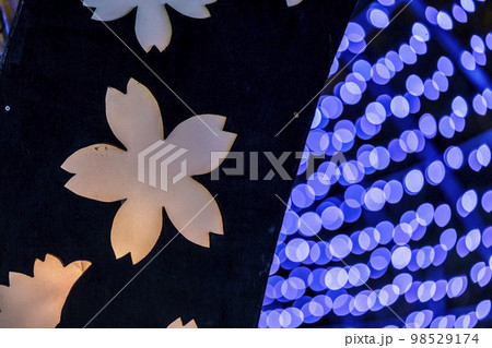あしかがフラワーパークのイルミネーション　光の花の庭　桜のライト　栃木県足利市 98529174