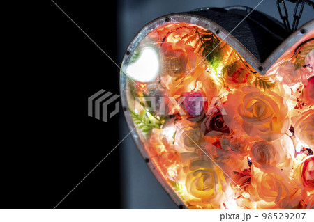 あしかがフラワーパークのイルミネーション　光の花の庭　ハートのライト　栃木県足利市 98529207