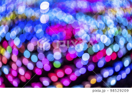 あしかがフラワーパークのイルミネーション　光の花の庭　栃木県足利市 98529209