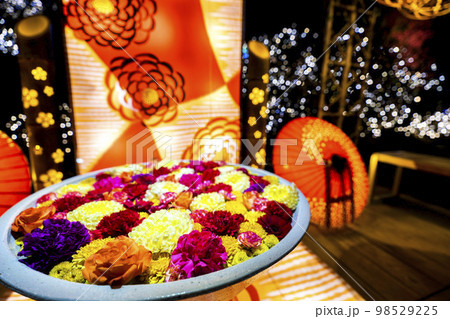 あしかがフラワーパークのイルミネーション　光の花の庭　光の花手水　栃木県足利市 98529225