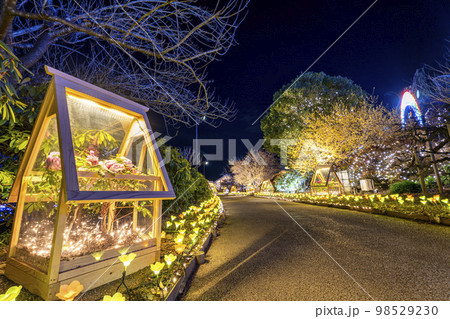 あしかがフラワーパークのイルミネーション　光の花の庭　冬咲きボタン　栃木県足利市 98529230