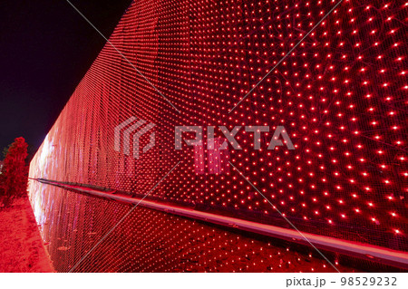 あしかがフラワーパークのイルミネーション　光の花の庭　栃木県足利市 98529232