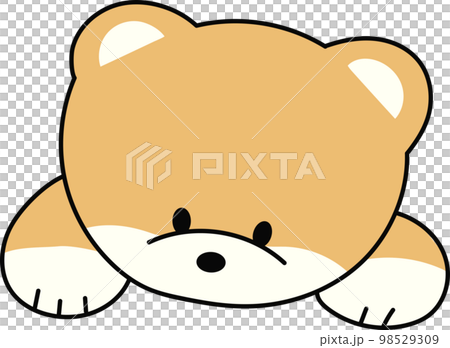 溫暖可愛的窺視博美犬 溫暖可愛的窺視博美犬 98529309