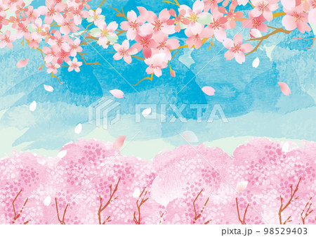 桜　優しい春の背景イラスト 98529403