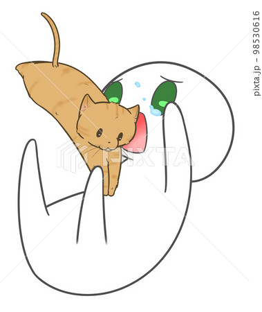 容赦なくお腹の上に降りる猫と飼い主 98530616