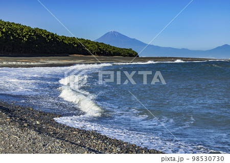静岡県静岡市清水区三保海岸（三保の松原）から眺める富士山 98530730
