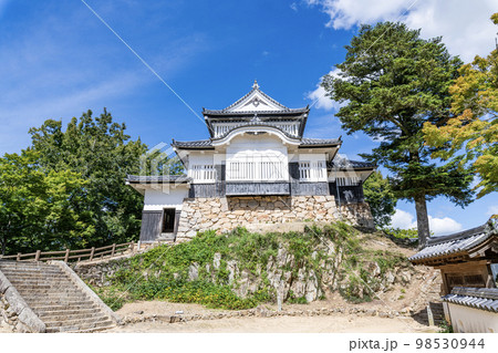 岡山県高梁市　晴天の備中松山城天守 98530944
