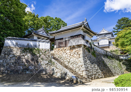 岡山県高梁市　晴天の備中松山城天守 98530954