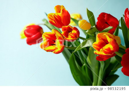 Blue colorful Holiday banner. Bouquet of red yellow tulips on pastel blue background. Mother's day, Valentines Day, Birthday celebration concept. Copy space for text, top view, greeting card Blue colorful Holiday banner. Bouquet of red yellow tulips on pastel blue background. Mother's day, Valentines Day, Birthday celebration concept. Copy space for text, top view, greeting card 98532195