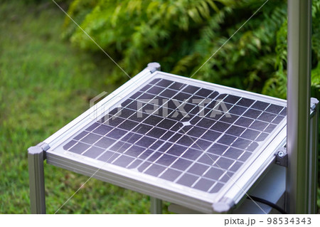 New Solar Cell is laid down among tree plant in the garden. New Solar Cell is laid down among tree plant in the garden. 98534343