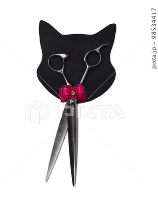 Set of different combs and brushes for grooming pets on a white background with shadow reflection. A creative cat figurine made from grooming tools. Set of different combs and brushes for grooming pets on a white background with shadow reflection. A creative cat figurine made from grooming tools. 98534417