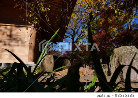 九品仏、浄真寺、くほんぶつ、じょうしんじ、お寺、秋、仏像、ネコ、建物、猫、ねこ、お地蔵さん、地蔵、子 98535338