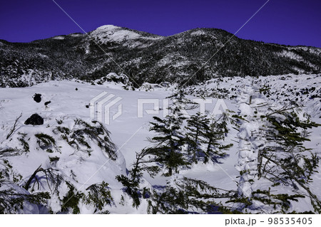 雪景色 坪庭 雪景色 坪庭 98535405