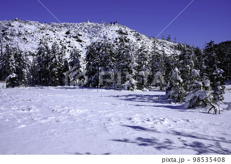 雪景色 坪庭 雪景色 坪庭 98535408