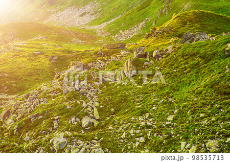 Carpathian mountain landscape Carpathian mountain landscape 98535713