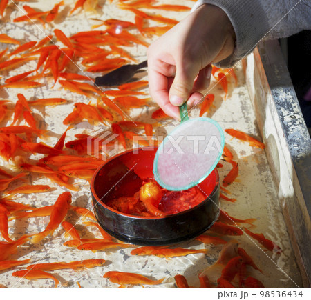 金魚すくい 98536434
