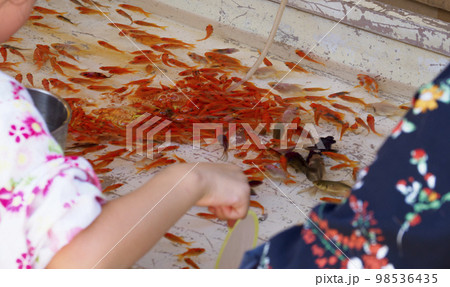 金魚すくい 98536435