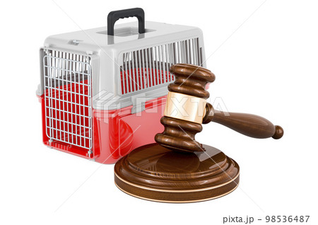 Wooden gavel with pet travel plastic cage. 3D rendering 98536487