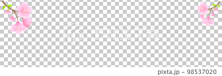 櫻花。春季圖像橫幅。 98537020