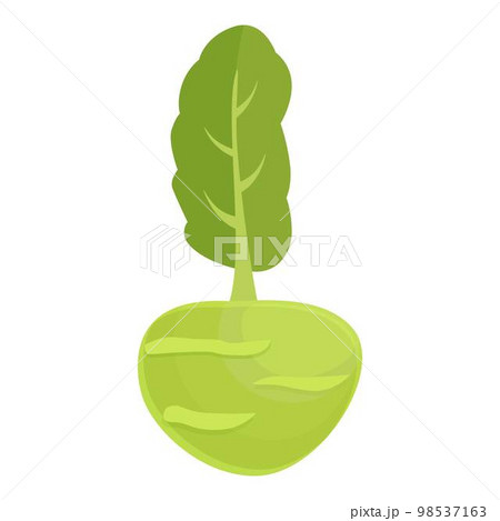 Nature kohlrabi icon cartoon vector. Healthy food. Organic vegetable Nature kohlrabi icon cartoon vector. Healthy food. Organic vegetable 98537163