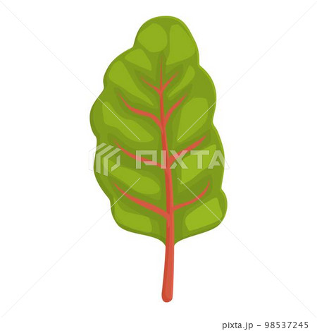Vegetable chard icon cartoon vector. Green plant. Swiss food 98537245