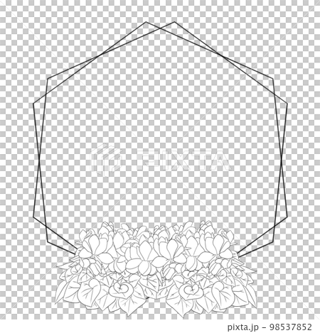 仙客來六角形框架材料的時尚黑白線描插圖 仙客來六角形框架材料的時尚黑白線描插圖 98537852