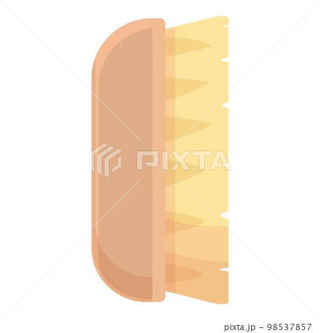 Brush element icon cartoon vector. Spa tool. Spa care 98537857