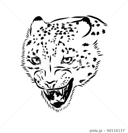 vector snow leopard, irbis wild cats graphic...のイラスト素材 [98538137] - PIXTA