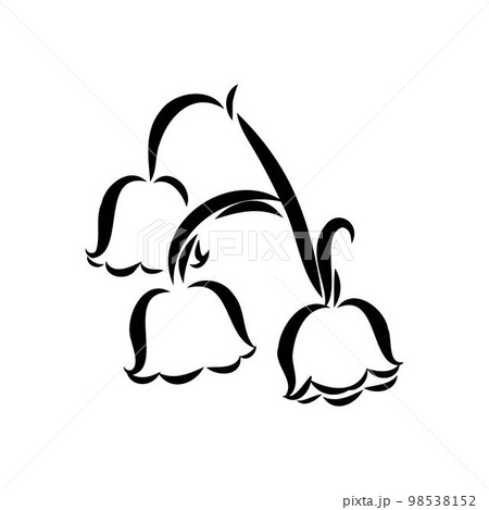 Vector isolated single lily valley branch colorless black and white contour line drawing Vector isolated single lily valley branch colorless black and white contour line drawing 98538152