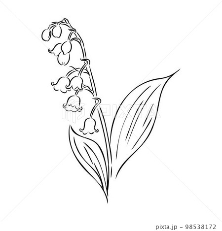 Lily Valley Tattoo Stock Illustrations  151 Lily Valley Tattoo Stock  Illustrations Vectors  Clipart  Dreamstime