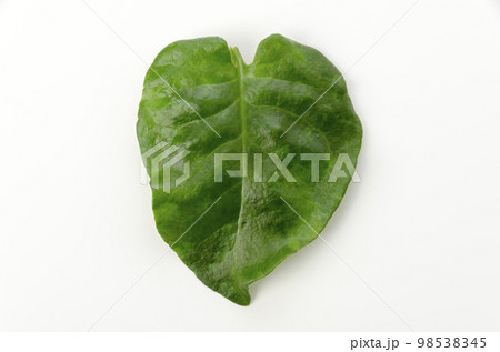 雲南百薬 98538345