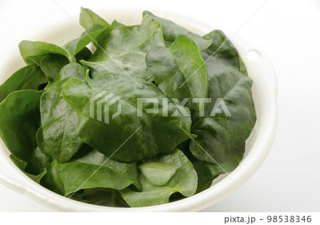 雲南百薬 98538346