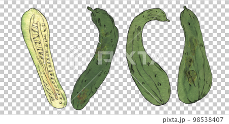 ふぞろい野菜のイラスト素材 きゅうり ふぞろい野菜のイラスト素材 きゅうり 98538407