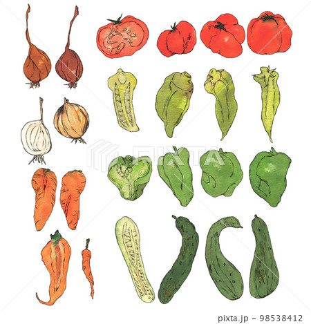 ふぞろい野菜のイラスト素材　 98538412