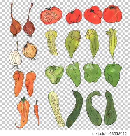 ふぞろい野菜のイラスト素材　 98538412