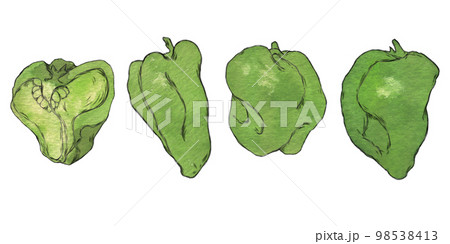 ふぞろい野菜のイラスト素材　ピーマン 98538413