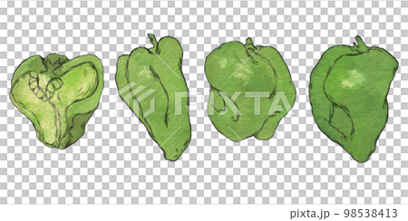 ふぞろい野菜のイラスト素材　ピーマン 98538413