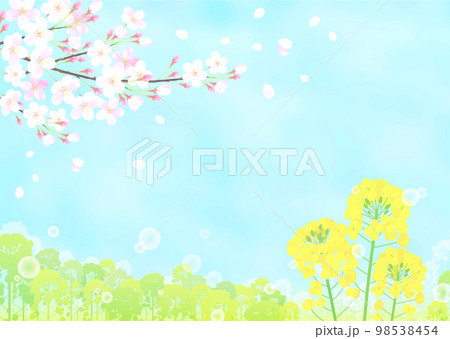 桜と菜の花 さくら  ソメイヨシノ  98538454