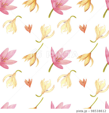 Handdrawn llily seamless pattern. Watercolor pink and cream flowers with green leaves on the white background. Scrapbook design, typography poster, label, banner, textile. 98538612