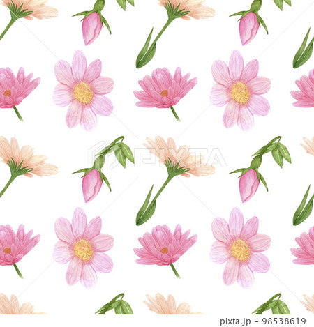 Handdrawn aster seamless pattern. Watercolor pink flowers with green leaves on the white background. Scrapbook design, typography poster, label, banner, textile. 98538619