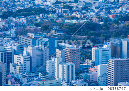 （静岡県）浜松市の街並み　浜松城付近 98538747