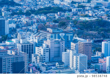 （静岡県）浜松市の街並み　浜松城付近 98538748